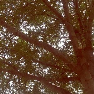 Happy fall y’all 🌾🌻🌞